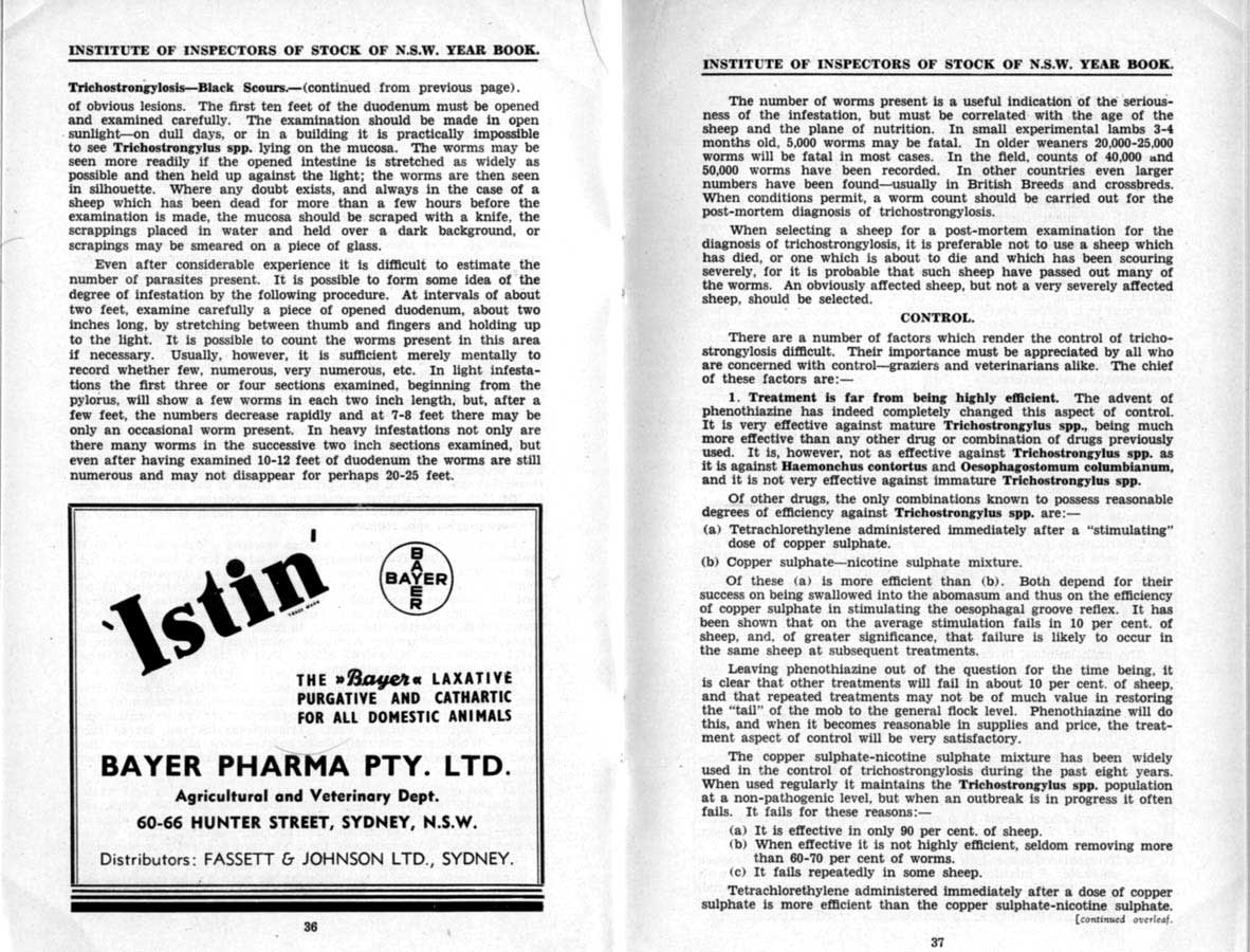 1942 Page 36 37